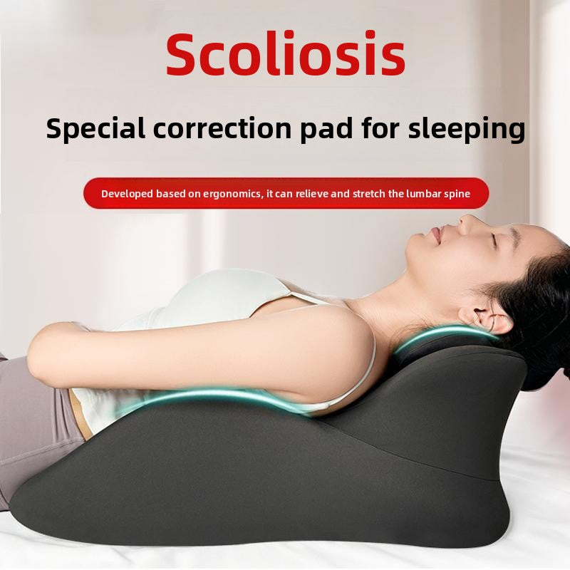 Full-Spine Alignment Cushion
